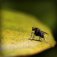 /album/quitradgauklin/photolia-a07-jpg/